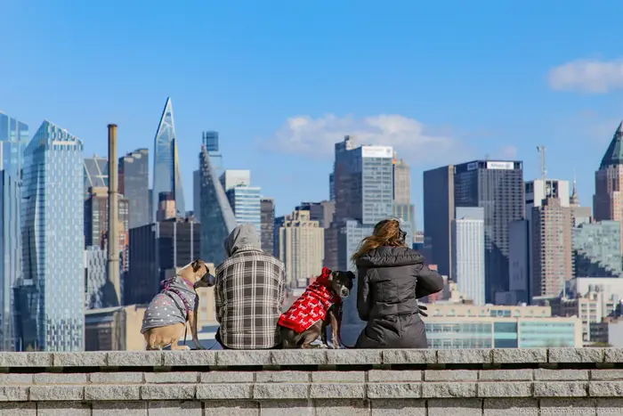 A photo of two people and two dogs overlooking the NYC skyline